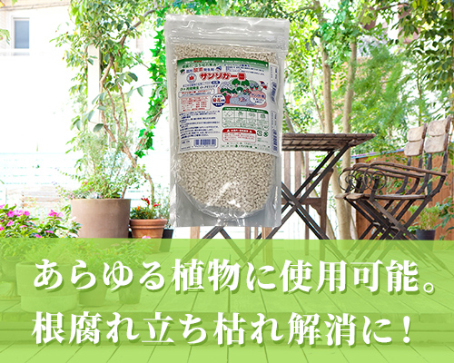 活魚輸送のための酸素発生剤、菊栽培のためのサンソ発生剤なら株式会社サンソが一番